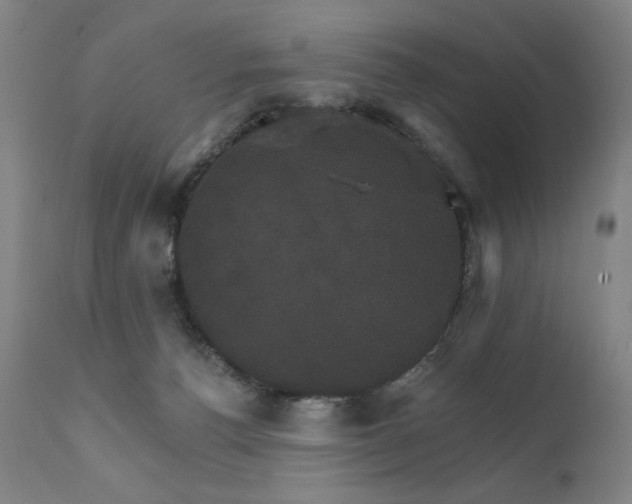 X0000111800176200907231219