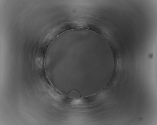 X0000111800177200907231219