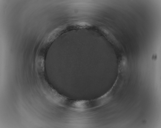 X0000111800178200907231219