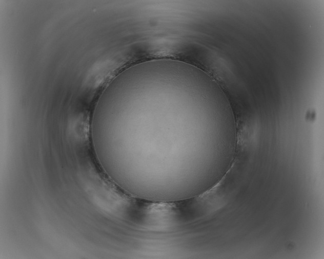 X0000111800179200907231219
