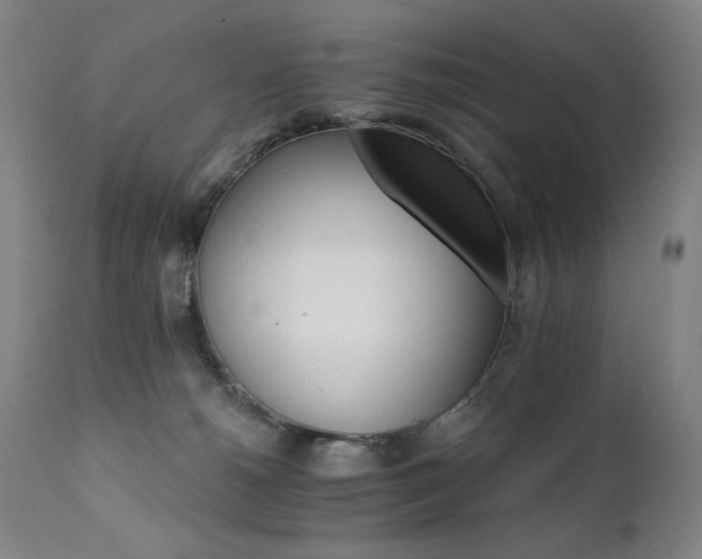 X0000111800180200907231219