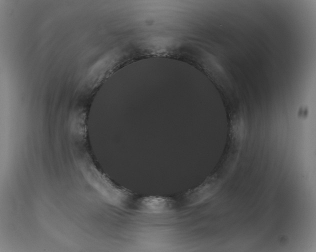 X0000111800181200907231219