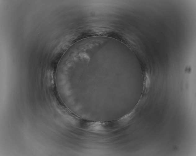 X0000111800182200907231219