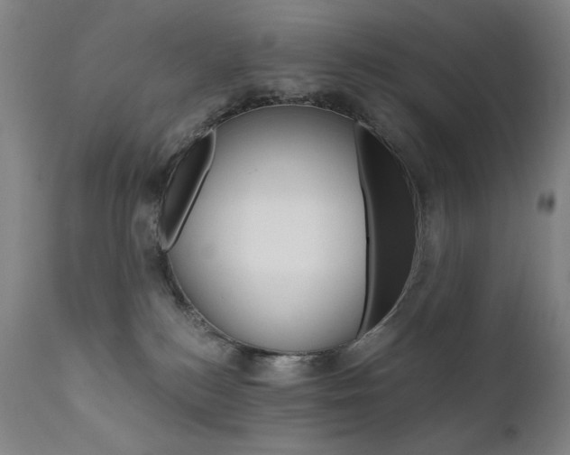 X0000111800184200907231219