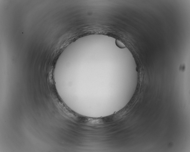 X0000111800185200907231219
