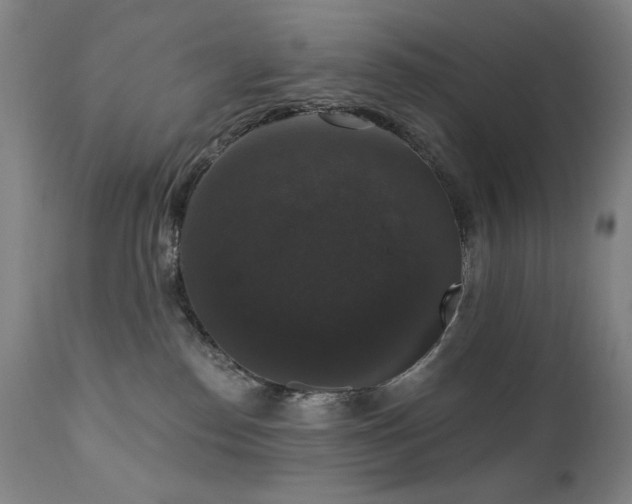 X0000111800186200907231219