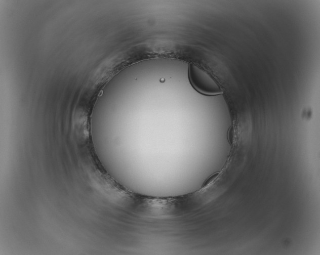 X0000111800187200907231219