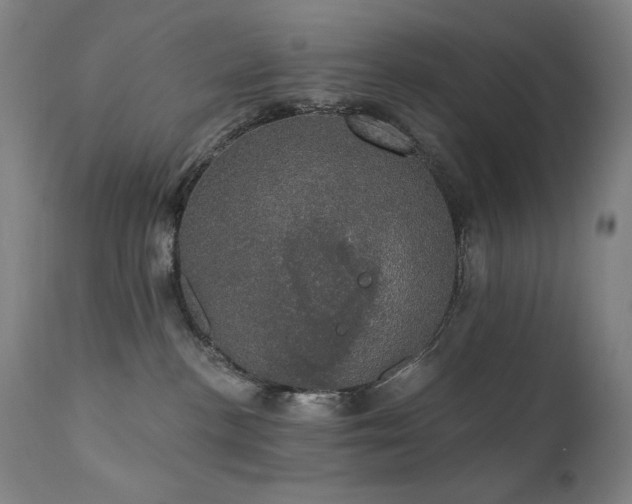 X0000111800188200907231219