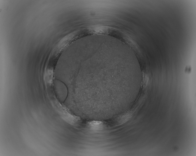 X0000111800189200907231219