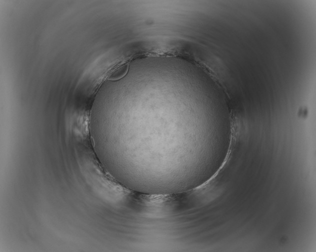 X0000111800191200907231219