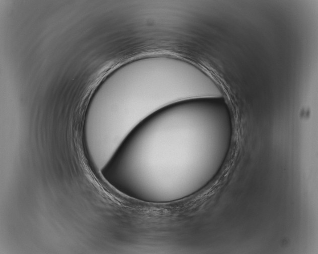X0000111800193200907231218