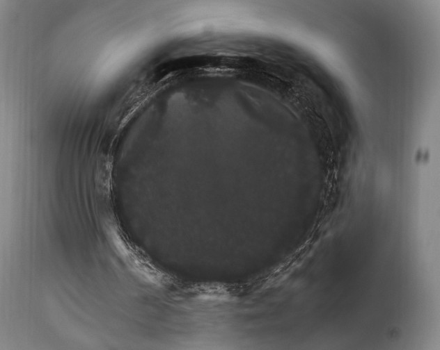 X0000111800194200907231218