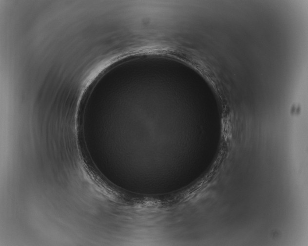 X0000111800196200907231218