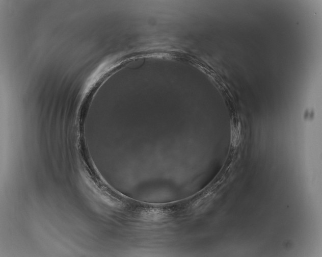 X0000111800198200907231218