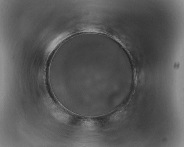 X0000111800199200907231218
