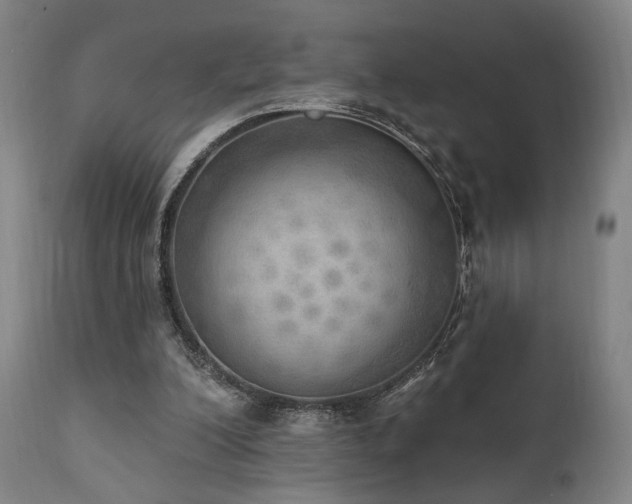 X0000111800200200907231218