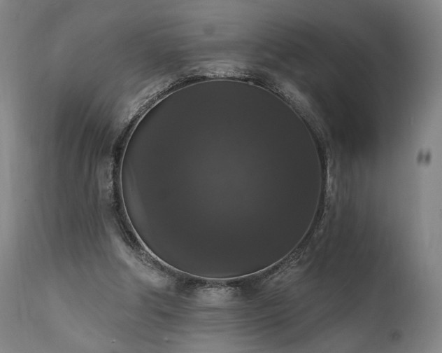 X0000111800202200907231218