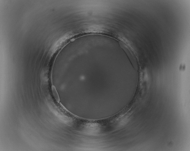 X0000111800203200907231218