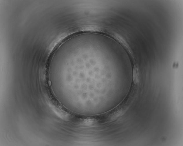X0000111800204200907231218