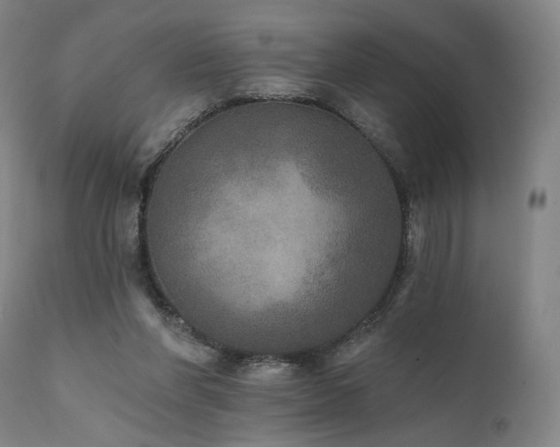 X0000111800206200907231218