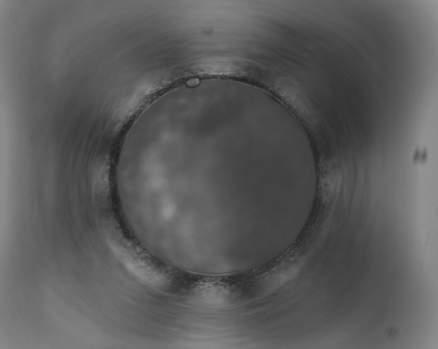 X0000111800207200907231218