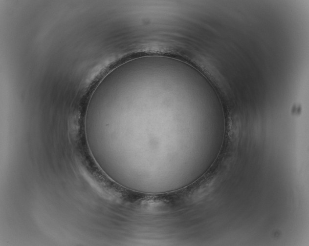 X0000111800208200907231218