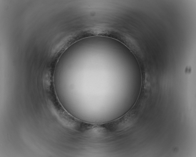 X0000111800210200907231218
