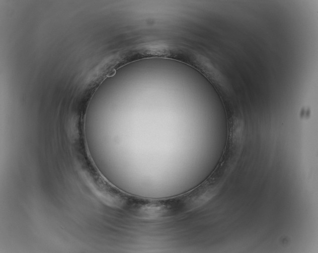 X0000111800213200907231218