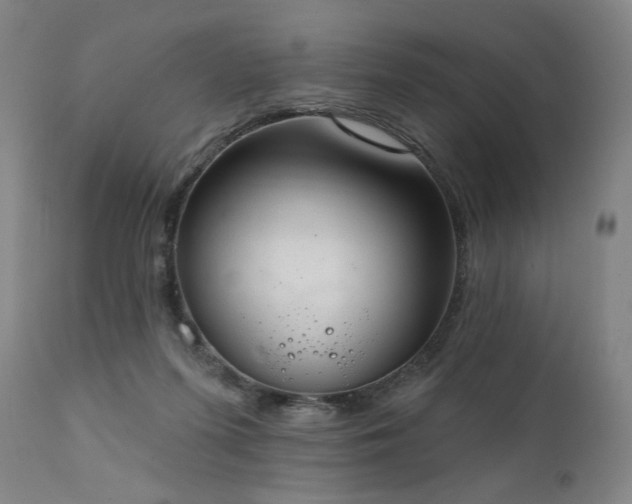 X0000111800215200907231218