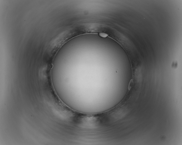 X0000111800217200907231218