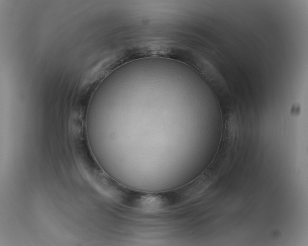 X0000111800218200907231218