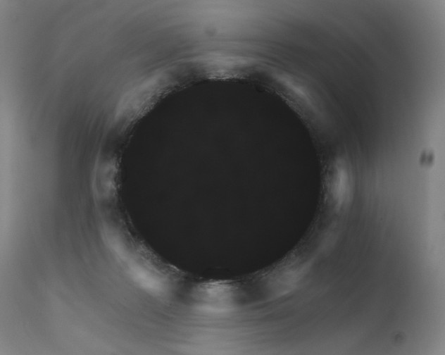 X0000111800219200907231218