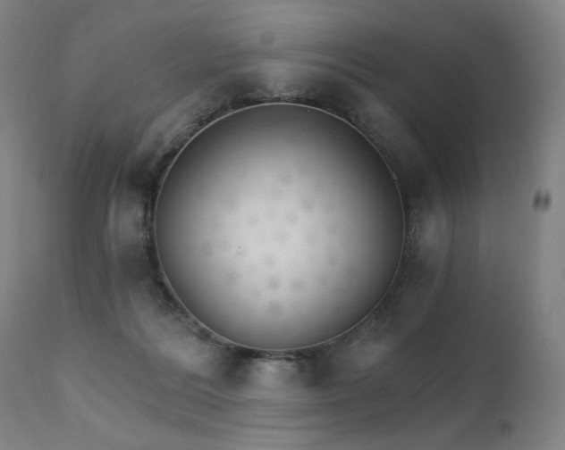 X0000111800220200907231218