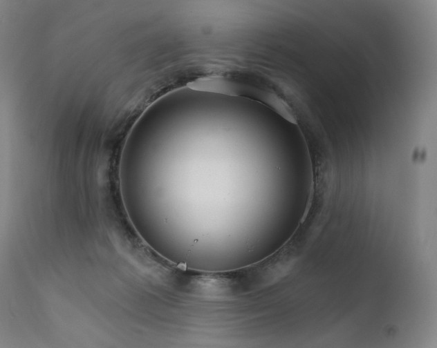 X0000111800221200907231218