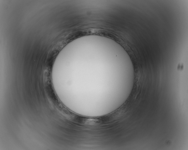 X0000111800222200907231218