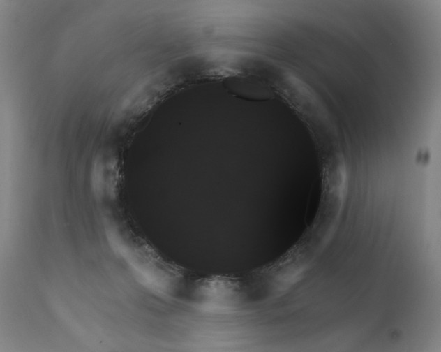 X0000111800223200907231218