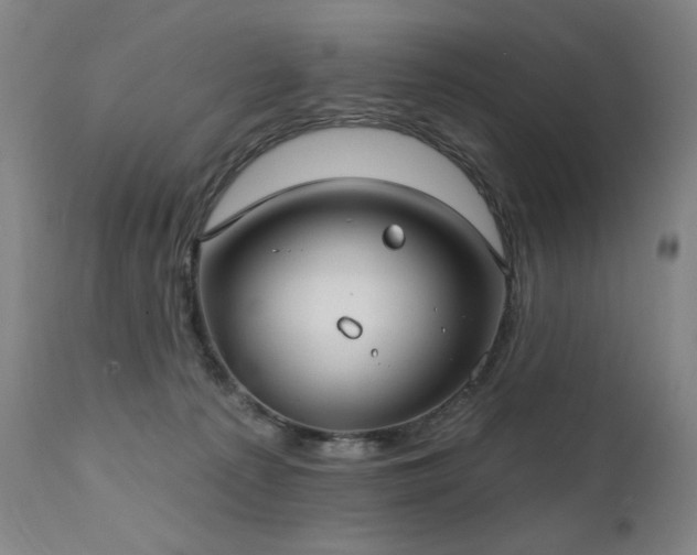 X0000111800225200907231218