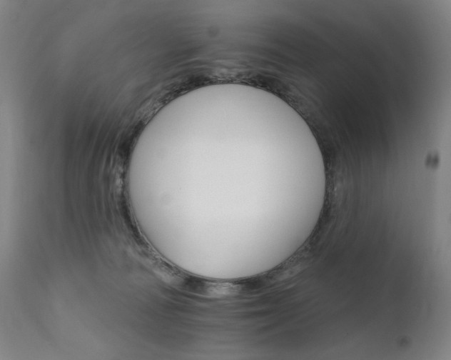 X0000111800226200907231218