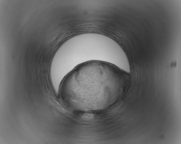 X0000111800227200907231218