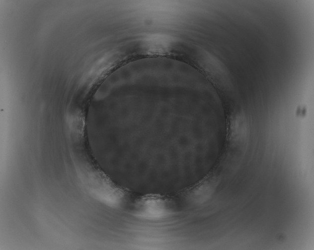 X0000111800228200907231218