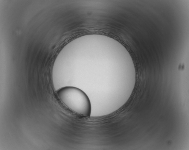 X0000111800229200907231218