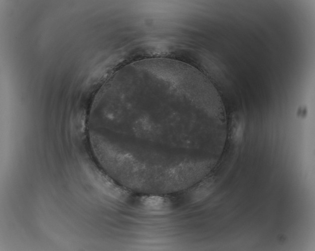 X0000111800230200907231218