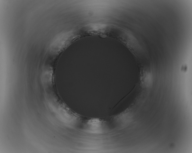 X0000111800231200907231218