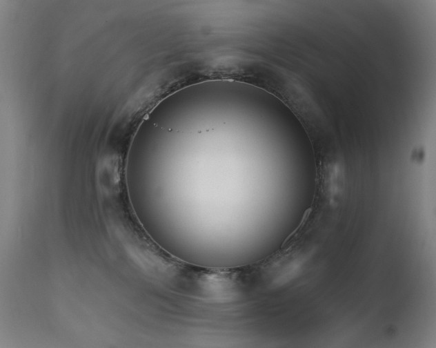 X0000111800232200907231218