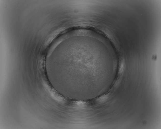 X0000111800233200907231218
