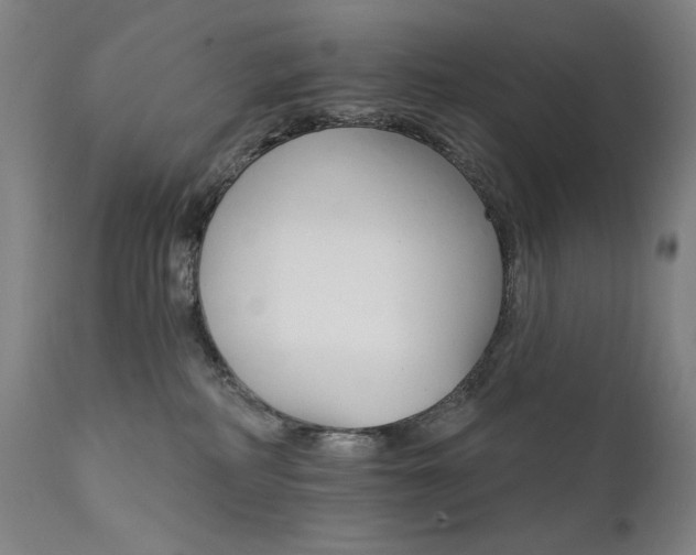 X0000111800234200907231218
