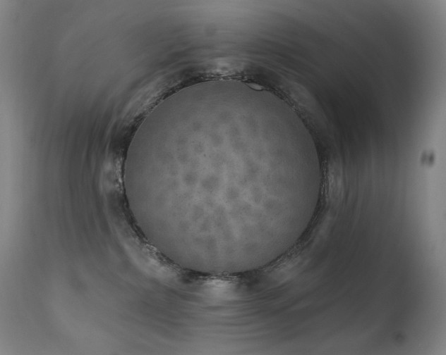 X0000111800236200907231218