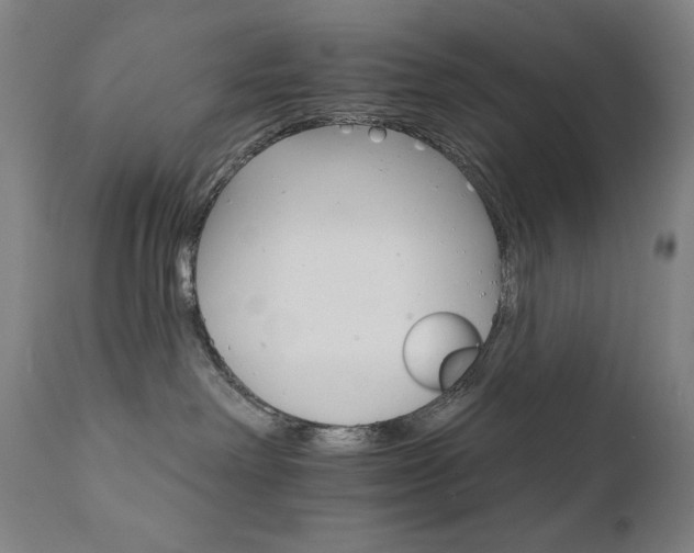 X0000111800238200907231218