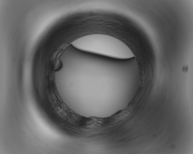 X0000111800239200907231218