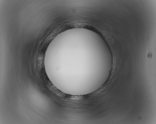 X0000111800240200907231218